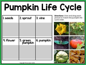 Pumpkins Digital Activities for Google Slides™ - Image 3