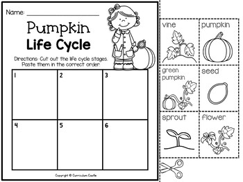 Pumpkins: Pumpkin Life Cycle Print & Digital Activities BUNDLE - Image 2