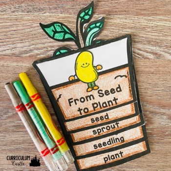 Plant Investigation Unit: All About Plants, Life Cycle and Needs - Image 2