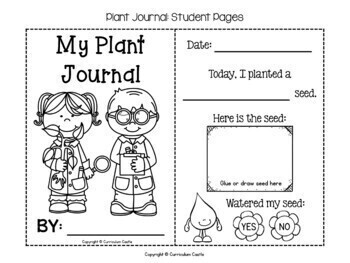 Plant Investigation Unit: All About Plants, Life Cycle and Needs - Image 3