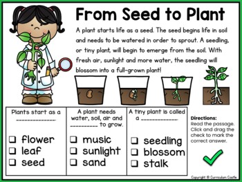 Plants Digital Activities for Google Slides™ - Image 2