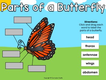 Butterflies Digital Activities for Google Slides™ - Image 3