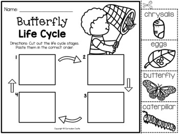 Butterflies: Butterfly Life Cycle Print & Digital Activities BUNDLE - Image 3