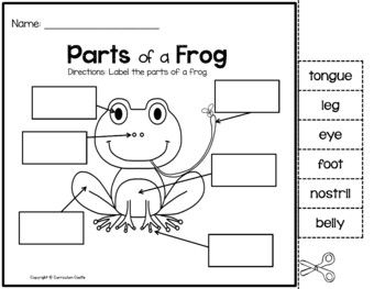 Frogs: Frog Life Cycle Print & Digital Activities BUNDLE - Image 3