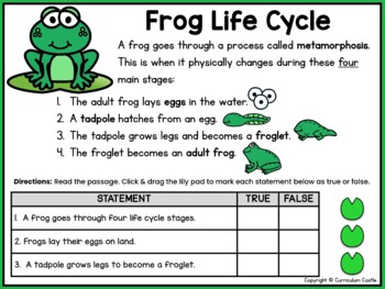 Frogs: Frog Life Cycle Print & Digital Activities BUNDLE - Image 4