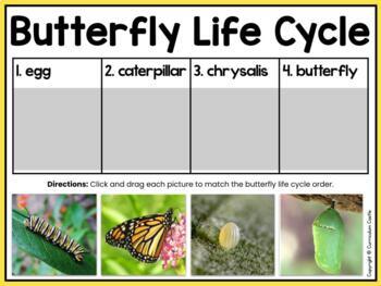 Life Cycles Print & Digital Activities MEGA BUNDLE - Image 4