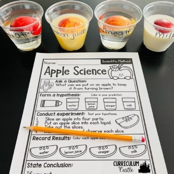 Back to School Activities for 1st & 2nd Grade - Image 4