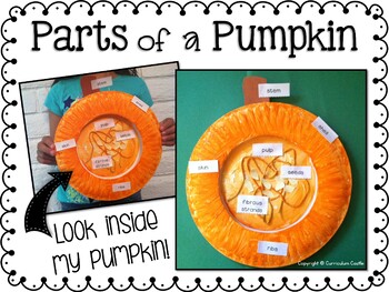 Pumpkin Investigation Unit: All About Pumpkins and Life Cycle - Image 4
