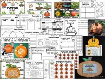 Life Cycles BUNDLE: Plant, Pumpkin, Butterfly & Frog! - Image 2