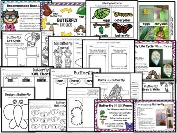 Life Cycles BUNDLE: Plant, Pumpkin, Butterfly & Frog! - Image 4