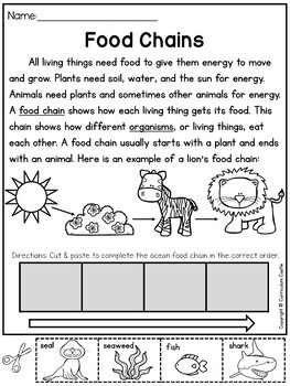 Food Chains, Food Webs and Ecosystems Activities - Image 3