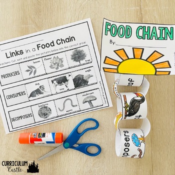 Food Chains, Food Webs and Ecosystems Activities - Image 4