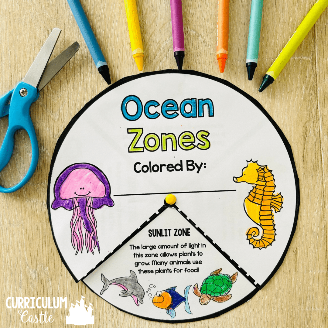 Ocean Exploration Unit: All About Ocean Life and Animals - Image 2